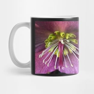 Exotic Floral Spray of the Purple Winter Hellebore Mug